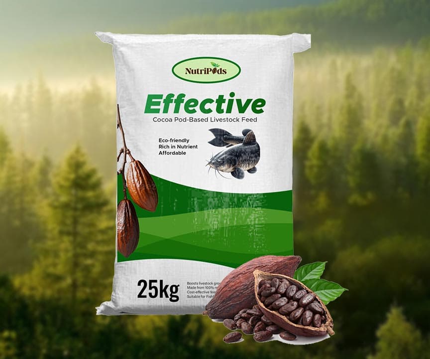 Packaging & Distribution